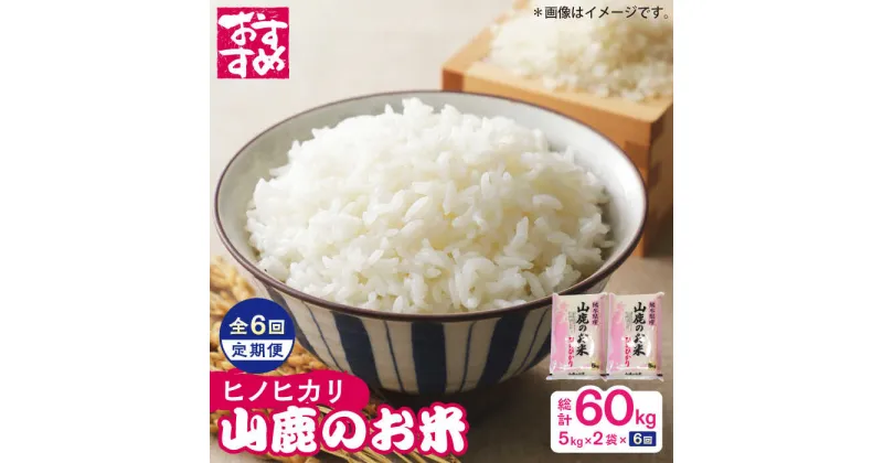 【ふるさと納税】【6回定期便】山鹿のお米 ヒノヒカリ 5kg×2【有限会社 あそしな米穀】[ZBI023]