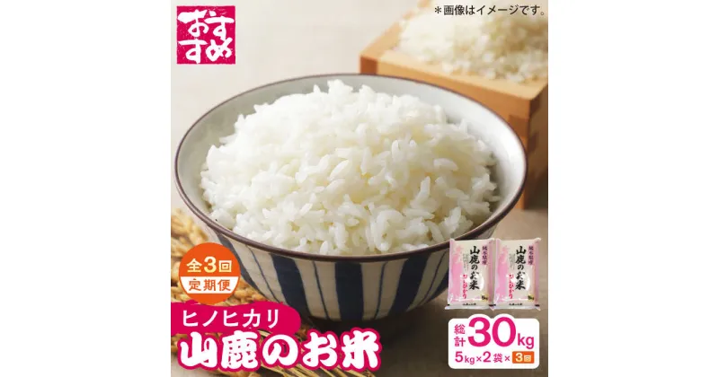 【ふるさと納税】【3回定期便】山鹿のお米 ヒノヒカリ 5kg×2【有限会社 あそしな米穀】[ZBI018]