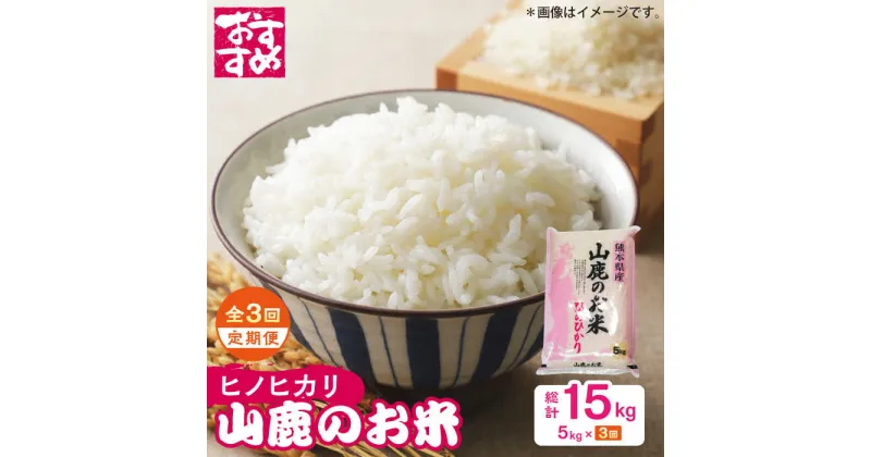 【ふるさと納税】【3回定期便】山鹿のお米 ヒノヒカリ 5kg【有限会社 あそしな米穀】[ZBI020]