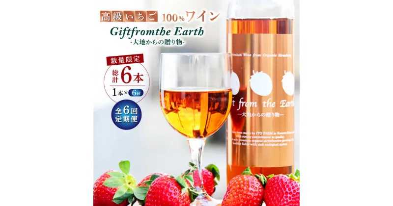 【ふるさと納税】【6回定期便】【数量限定】高級 いちご 100％ワイン Giftfromthe Earth -大地からの贈り物- オーガニック【伊藤農園】[ZBB019]