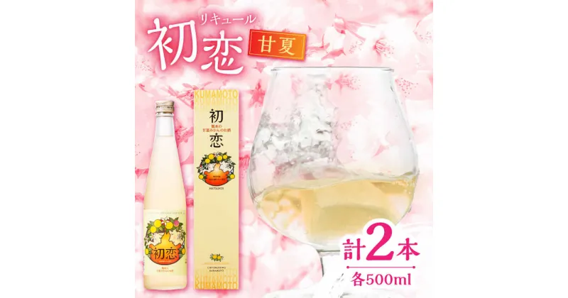 【ふるさと納税】甘夏 リキュール 初恋 500ml 2本セット 【千代の園酒造 株式会社 】[ZAI044]