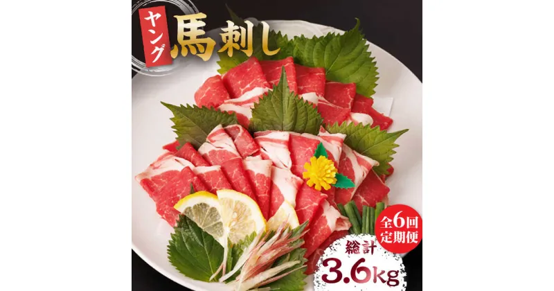 【ふるさと納税】【6回定期便】ヤング馬刺し 計600g（6pc）＋タレ大【馬刺しの郷 民守】[ZBL075]