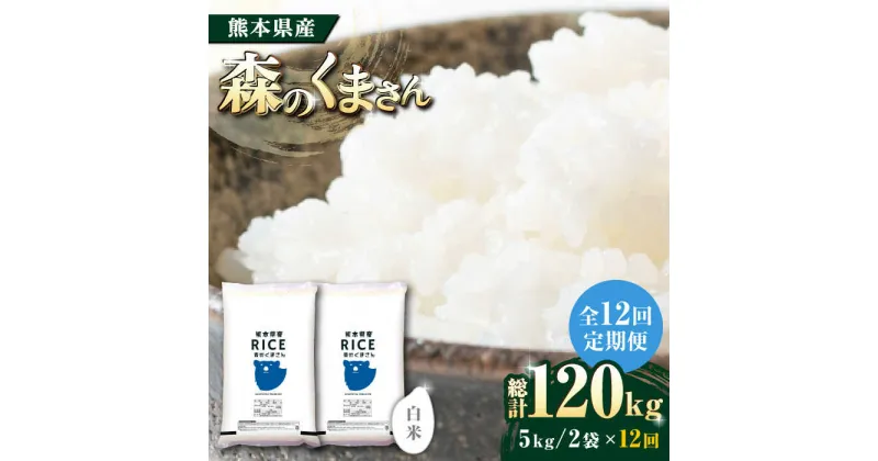 【ふるさと納税】【全12回定期便】 森のくまさん 白米 10kg(5kg×2袋)【有限会社 農産ベストパートナー】[ZBP081]