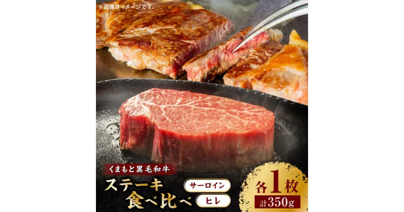 【ふるさと納税】くまもと黒毛和牛 ステーキ食べ比べ ヒレステーキ サーロインステーキ【馬刺しの郷 民守】[ZBL026]