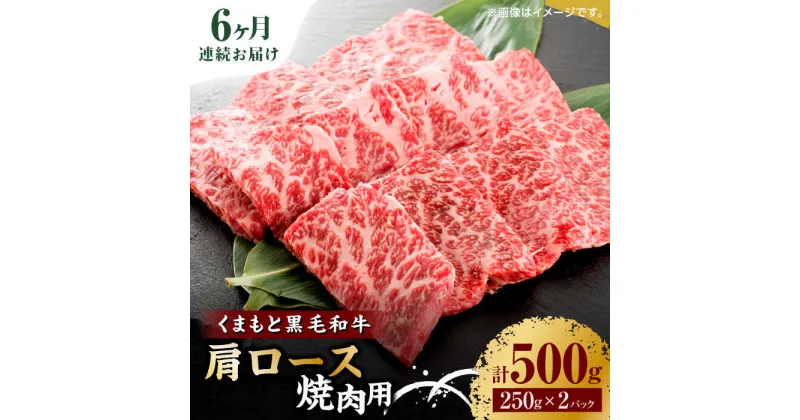 【ふるさと納税】【6回定期便】くまもと黒毛和牛 焼肉用 肩ロース 500g（250g×2pc）【馬刺しの郷 民守】[ZBL092]