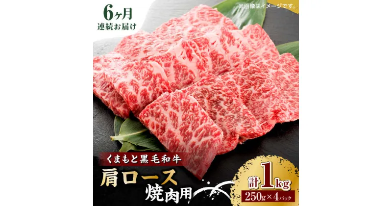 【ふるさと納税】【6回定期便】くまもと黒毛和牛 焼肉用 肩ロース 1000g（250g×4pc）【馬刺しの郷 民守】[ZBL093]