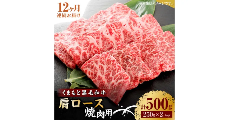 【ふるさと納税】【12回定期便】くまもと黒毛和牛 焼肉用 肩ロース 500g（250g×2pc）【馬刺しの郷 民守】[ZBL120]