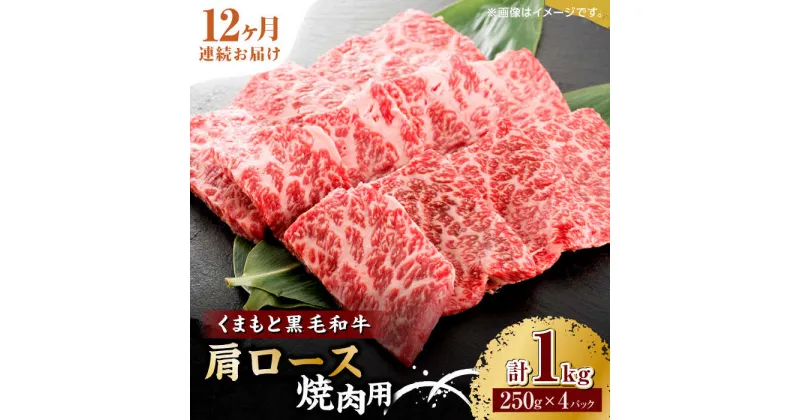 【ふるさと納税】【12回定期便】くまもと黒毛和牛 焼肉用 肩ロース 1000g（250g×4pc）【馬刺しの郷 民守】[ZBL121]