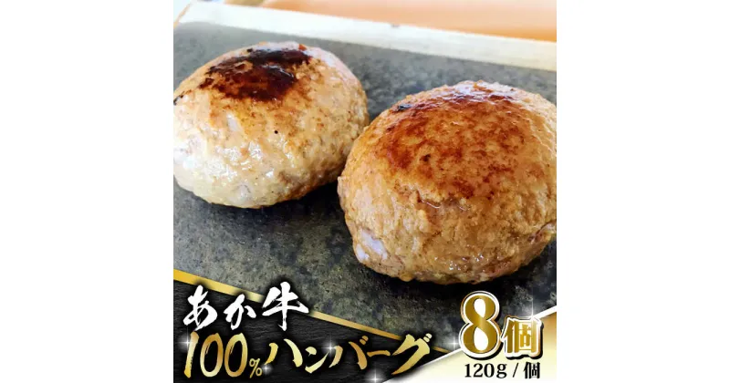 【ふるさと納税】【数量限定】あか牛 100% ハンバーグ 120g × 8個【有限会社 三協畜産】[ZEB099]