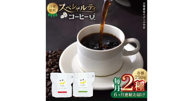 【ふるさと納税】【6回定期便】【豆のまま】自家焙煎 スペシャルティコーヒー 豆 （ 250g × 2種 ）約40杯分【かきやま果実】[ZCJ016]