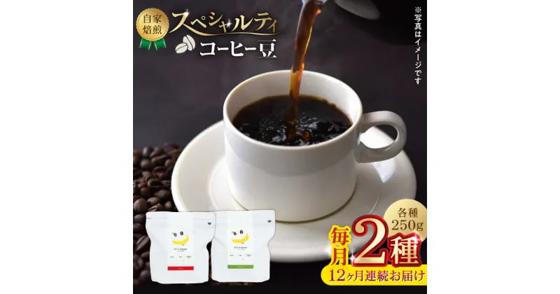 【ふるさと納税】【12回定期便】【豆のまま】自家焙煎 スペシャルティコーヒー 豆 （ 250g × 2種 ）約40杯分【かきやま果実】[ZCJ020]