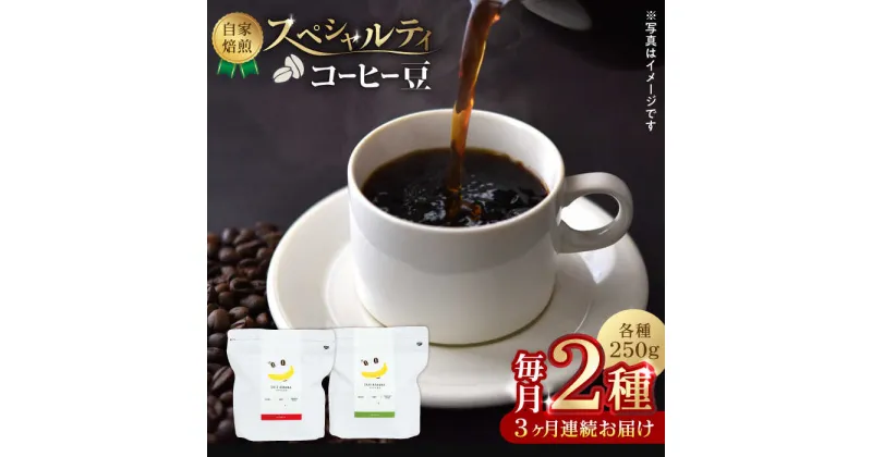 【ふるさと納税】【3回定期便】【豆のまま】自家焙煎 スペシャルティコーヒー 豆 （ 250g × 2種 ）約40杯分【かきやま果実】[ZCJ019]