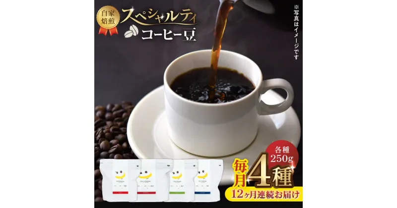 【ふるさと納税】【12回定期便】【豆のまま】自家焙煎 スペシャルティコーヒー 豆 （ 250g × 4種 ）約80杯分【かきやま果実】[ZCJ018]