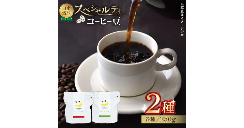 【ふるさと納税】【豆のまま】自家焙煎 スペシャルティコーヒー 豆 （ 250g × 2種 ）約40杯分【かきやま果実】[ZCJ015]