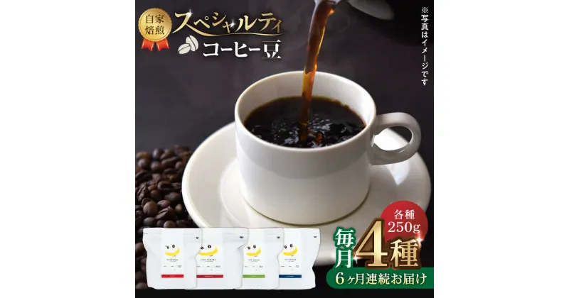 【ふるさと納税】【6回定期便】【豆のまま】自家焙煎 スペシャルティコーヒー 豆 （ 250g × 4種 ）約80杯分【かきやま果実】[ZCJ014]