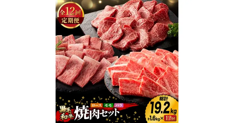 【ふるさと納税】【12回定期便】九州産 藤彩牛 焼肉 セット[ZDT087]