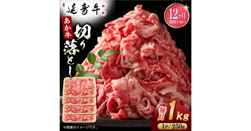 【ふるさと納税】【12回定期便】熊本県産 延寿牛 あか牛 切り落とし 約 250g×4P【有限会社 九州食肉産業】[ZDQ137]