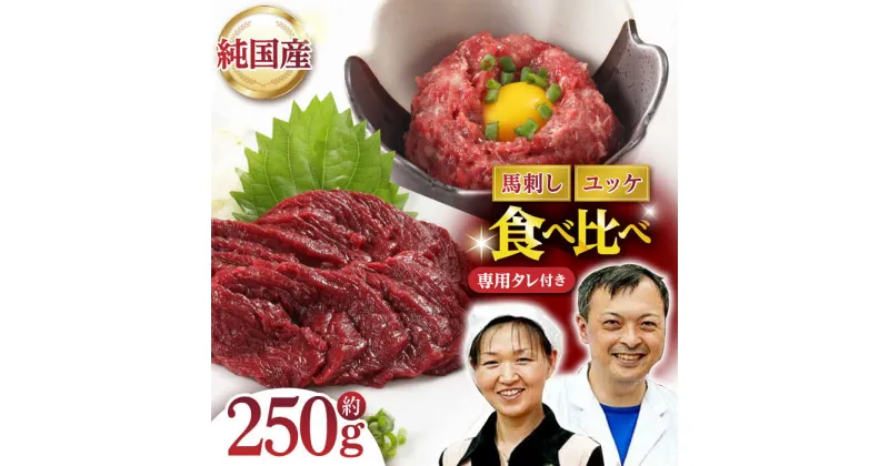 【ふるさと納税】【純国産】熊本の味 「桜」 馬刺し 晩酌セット (赤身・ユッケ) 約250g タレ付【有限会社 九州食肉産業】[ZDQ143]