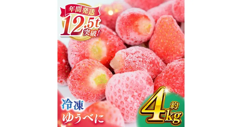 【ふるさと納税】冷凍 いちご ゆうべに 約4kg【熊本ベリー】[ZER015]