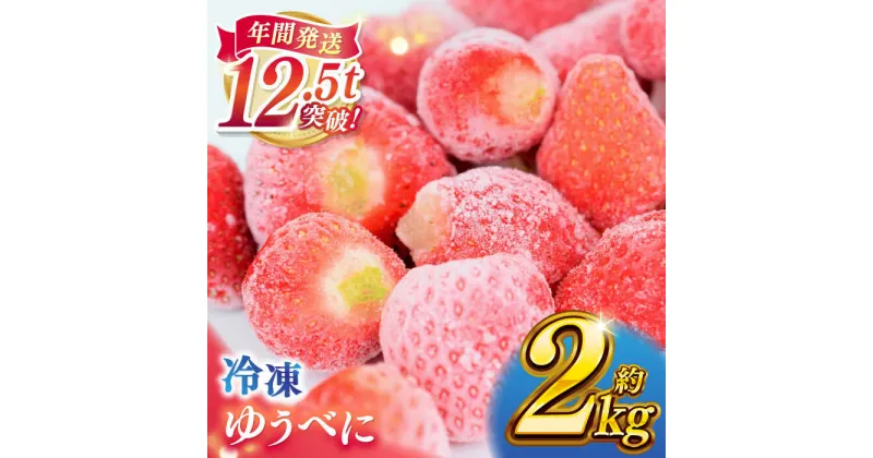 【ふるさと納税】冷凍 いちご ゆうべに 約2kg【熊本ベリー】[ZER014]