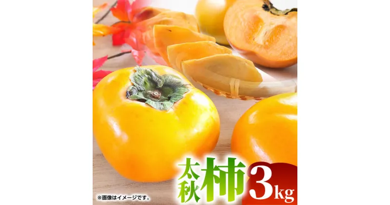 【ふるさと納税】【先行予約】【数量限定】太秋 柿 約3kg【くまふる】[ZBG075]