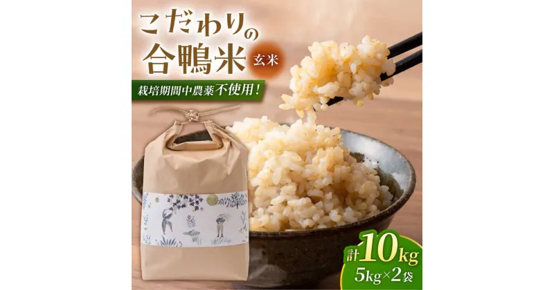 【ふるさと納税】合鴨玄米 5kg×2 計10kg 【あいがもん倶楽部】[ZAR029]