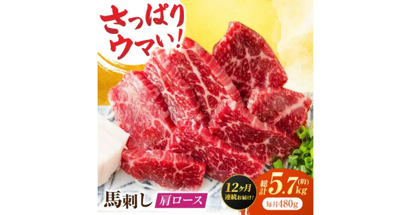 【ふるさと納税】【12回定期便】肩ロース馬刺し 約480g（約80g×6pc）【吉里精肉】[ZEW038]