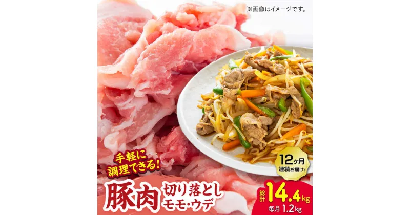 【ふるさと納税】【12回定期便】豚肉切り落とし（モモ・ウデ部位指定なし）約1.2kg（約300g×4pc）【吉里精肉】[ZEW086]