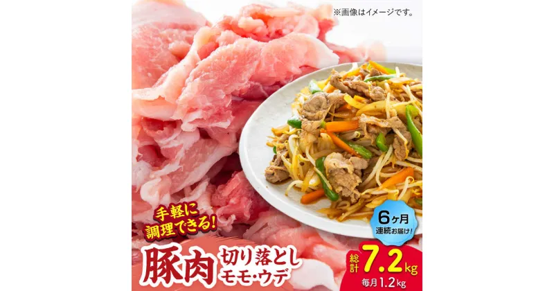 【ふるさと納税】【6回定期便】豚肉切り落とし（モモ・ウデ部位指定なし）約1.2kg（約300g×4pc）【吉里精肉】[ZEW085]