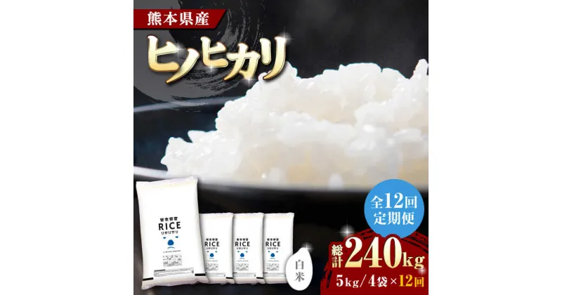 【ふるさと納税】【全12回定期便】 ヒノヒカリ 白米 20kg【有限会社 農産ベストパートナー】[ZBP116]