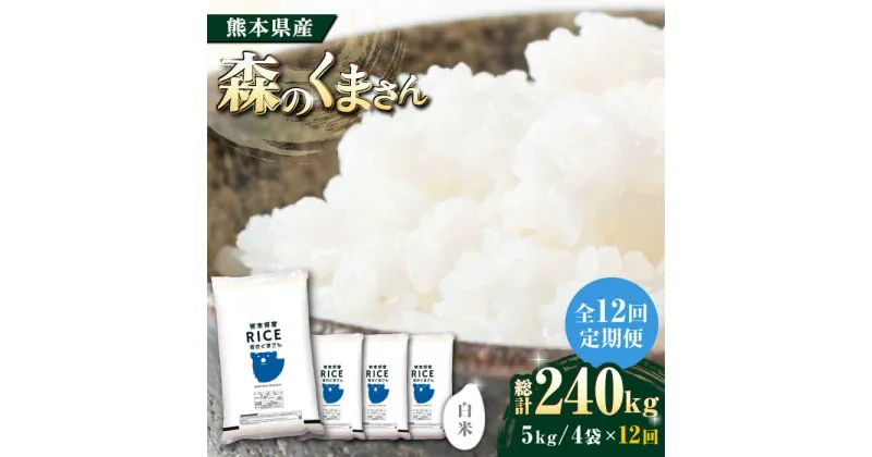 【ふるさと納税】【全12回定期便】 森のくまさん 白米 20kg(5kg×4袋)【有限会社 農産ベストパートナー】[ZBP124]