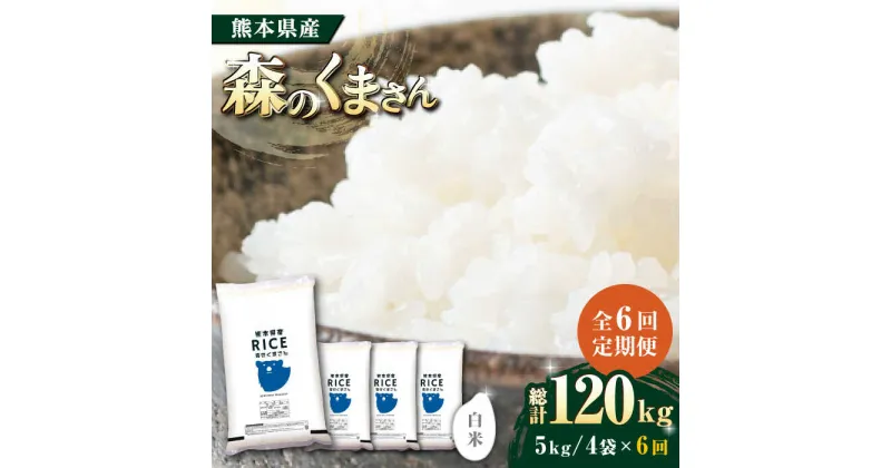 【ふるさと納税】【全6回定期便】森のくまさん 白米 20kg(5kg×4袋)【有限会社 農産ベストパートナー】[ZBP123]