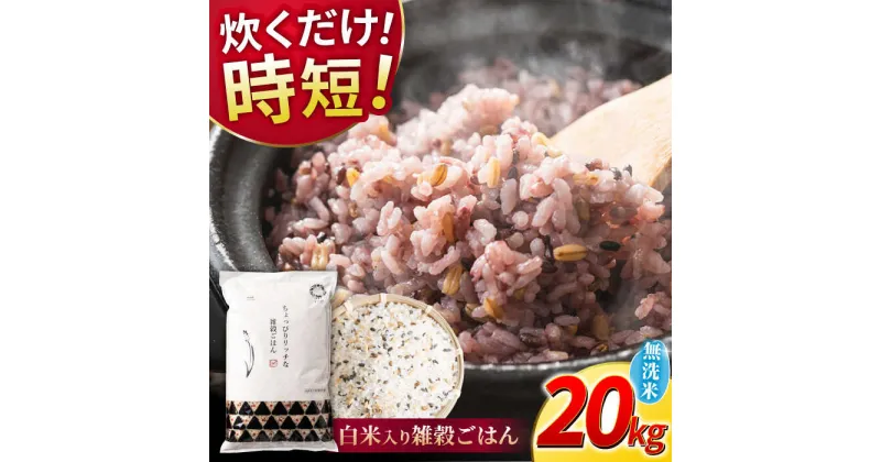 【ふるさと納税】水研ぎ不要 雑穀ごはん 無洗米 20kg 【有限会社 農産ベストパートナー】[ZBP153]