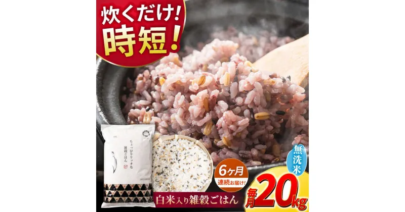 【ふるさと納税】【全6回定期便】水研ぎ不要 雑穀ごはん 無洗米 20kg 【有限会社 農産ベストパートナー】[ZBP155]