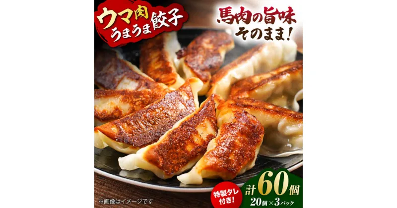 【ふるさと納税】新感覚！ウマ肉うまうま餃子（20個×3パック）【オルガニコ山鹿】[ZFH006]