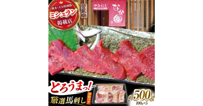 【ふるさと納税】熊本 馬刺し「なか園」赤身馬刺し 約500g【有限会社スイートサプライなかぞの】[ZBV067]