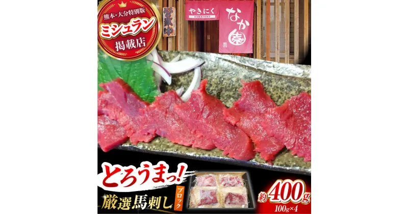 【ふるさと納税】熊本 馬刺し「なか園」赤身馬刺し 約400g【有限会社スイートサプライなかぞの】[ZBV066]