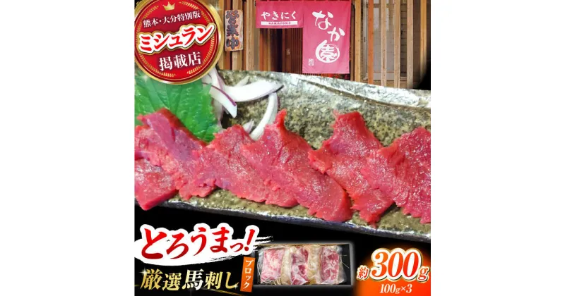 【ふるさと納税】熊本 馬刺し「なか園」赤身馬刺し 約300g【有限会社スイートサプライなかぞの】[ZBV065]