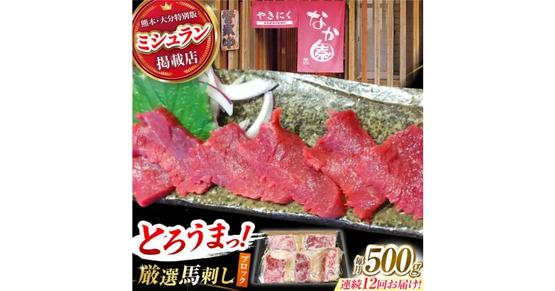 【ふるさと納税】【12回定期便】熊本 馬刺し「なか園」赤身馬刺し 約500g【有限会社スイートサプライなかぞの】[ZBV079]