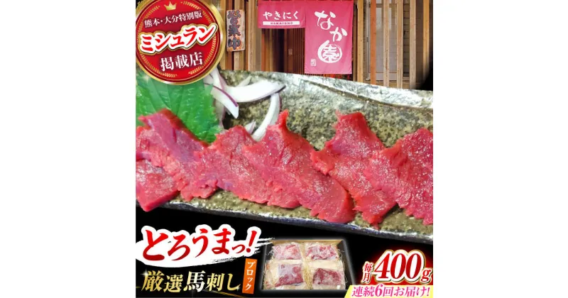 【ふるさと納税】【6回定期便】熊本 馬刺し「なか園」赤身馬刺し 約400g【有限会社スイートサプライなかぞの】[ZBV075]