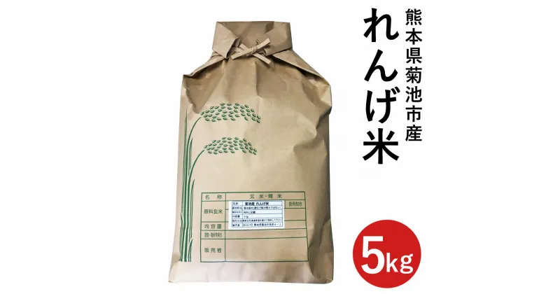 【ふるさと納税】熊本県菊池市産のれんげ米 5kg お米 白米 精米 レンゲ米 熊本県産 九州産 送料無料