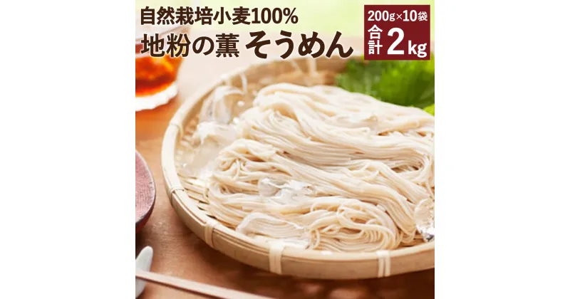 【ふるさと納税】地粉の薫(かおり)そうめん 自然栽培小麦100% 合計2kg 200g×10袋 セット そうめん 素麺 麺類 地粉 小麦 熊本県産 九州産 送料無料