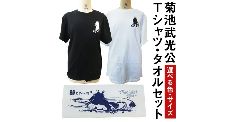 【ふるさと納税】菊池武光公 Tシャツ・タオルセット 選べる2色 選べる4サイズ S/M/L/XL シャツ 半袖 ファッション タオル 菊池一族 送料無料