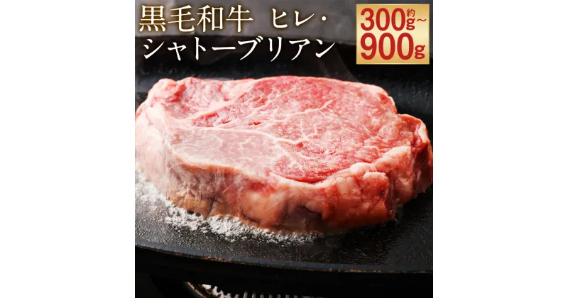 【ふるさと納税】黒毛和牛 ヒレ・シャトーブリアン ステーキ 約300g/約450g/約600g/約750g/約900g 選べる内容量 1枚約150g ヒレ肉 ステーキ肉 ステーキ用 和牛 牛 牛肉 肉 国産 九州産 熊本県産 冷凍 送料無料