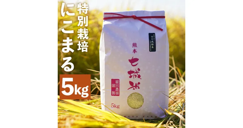 【ふるさと納税】極にこまる 5kg 白米 精米 お米 令和5年産 特別栽培米 熊本県産 九州産 送料無料