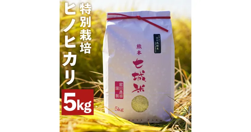 【ふるさと納税】つるたファームの極ヒノヒカリ 5kg 白米 精米 お米 令和5年産 特別栽培米 熊本県産 九州産 送料無料