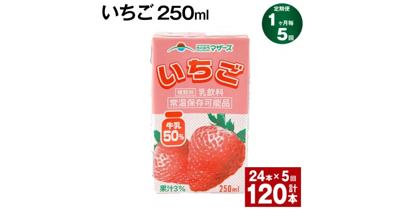 【ふるさと納税】【定期便】【1ヶ月毎5回】いちご 250ml 24本 計120本（24本×5回） いちごミルク いちご果汁 苺 イチゴ 牛乳 乳飲料 ジュース ドリンク 熊本県産 国産 九州 熊本県 菊池市 送料無料