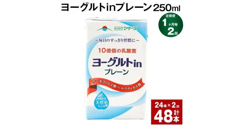 【ふるさと納税】【定期便】【1ヶ月毎2回】ヨーグルトinプレーン 250ml 計48本（24本×2回） ヨーグルト飲料 乳酸菌 ドリンク 飲み物 飲料 常温保存 国産 熊本県産 熊本県 菊池市 送料無料