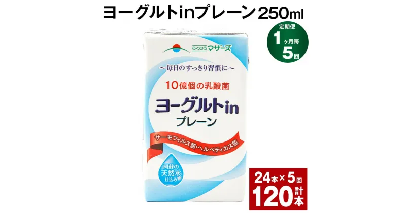 【ふるさと納税】【定期便】【1ヶ月毎5回】ヨーグルトinプレーン 250ml 計120本（24本×5回） ヨーグルト飲料 乳酸菌 ドリンク 飲み物 飲料 常温保存 国産 熊本県産 熊本県 菊池市 送料無料