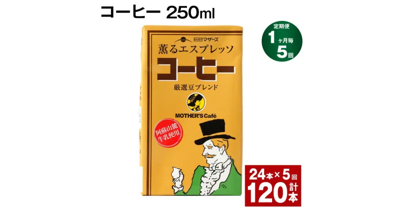 【ふるさと納税】【定期便】【1ヶ月毎5回】コーヒー 250ml 24本 計120本（24本×5回） コーヒー牛乳 カフェオレ 珈琲 らくのうマザーズ 薫るエスプレッソ ドリンク 紙パック 熊本県産 国産 九州 熊本県 菊池市 送料無料